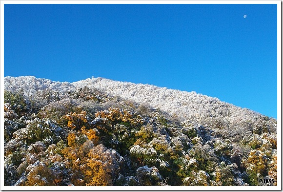 雪化粧した藻岩山