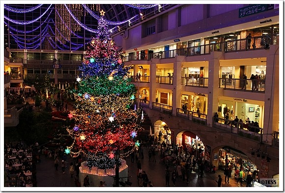 2014 サッポロファクトリー ジャンボクリスマスツリー点灯式