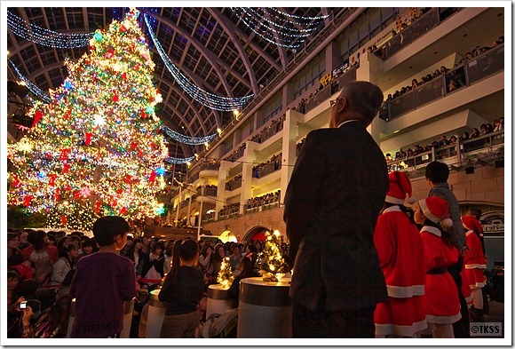 2011 ジャンボクリスマスツリー点灯式＠サッポロファクトリー