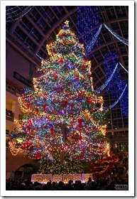 2011 ジャンボクリスマスツリー点灯式＠サッポロファクトリー