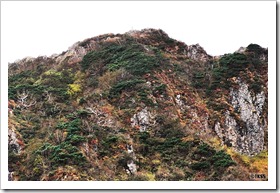 芦別岳（1726.5m）登山 -新道ピストン