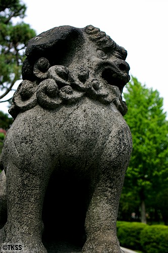 護国神社の狛犬
