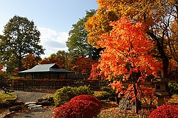 中島公園の紅葉　日本庭園