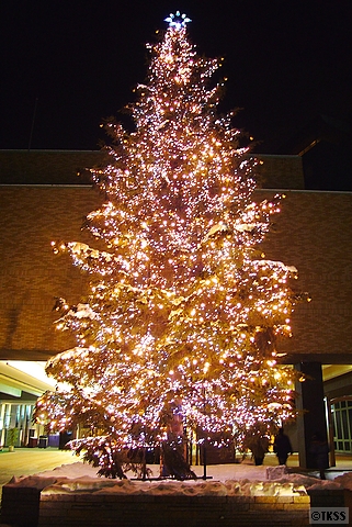 札幌パークホテルのクリスマスツリー