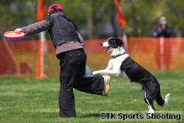 Club-DDS ACANA CUP DISCDOG GAME CHAMPIONSHIP2008 FirstStage