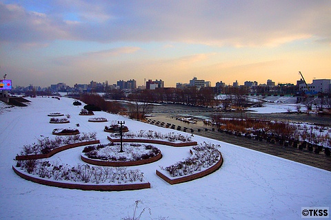冬の豊平川河川敷